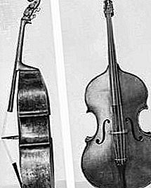低音提琴乐器