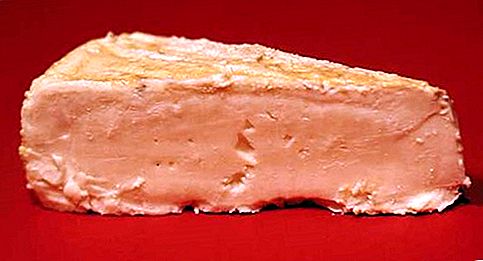 גבינת לימברגר