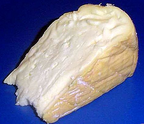 Nourriture au fromage de Münster