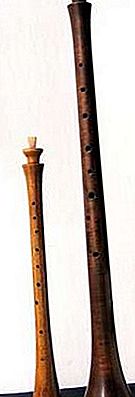 Shawm muziekinstrument