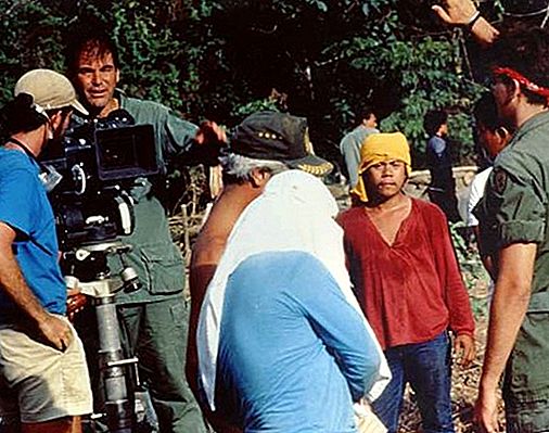 Oliver Stone, sutradara, produser dan penulis skenario Amerika