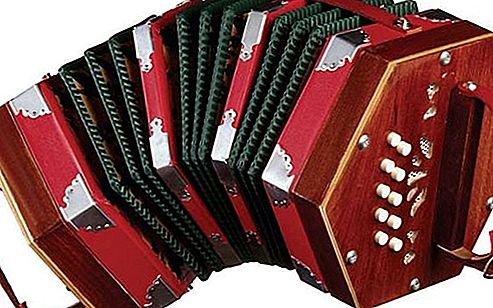 Instrumento musical de concertina