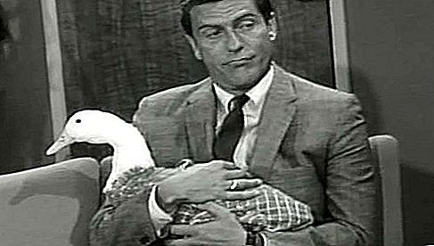 Dick Van Dyke Show amerikansk tv-program
