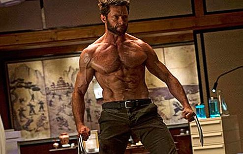 Wolverine izdomāts varonis