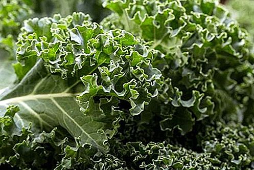 Kale zelenina
