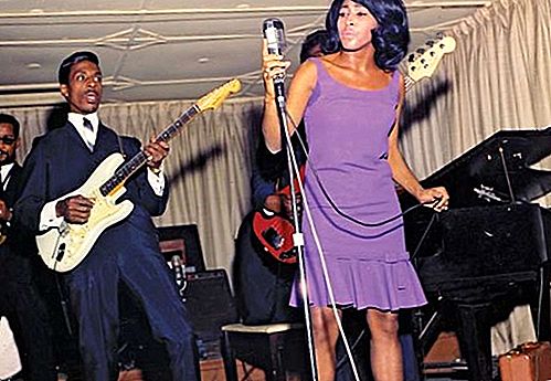 Ca sĩ người Mỹ gốc Tina Turner