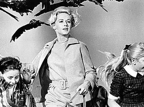 La película de los pájaros de Hitchcock [1963]