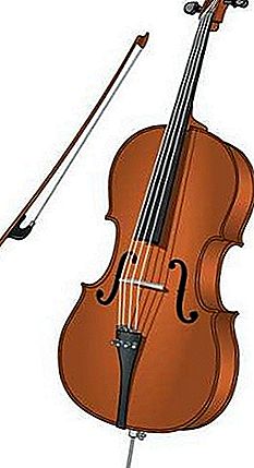 Strumento musicale per violoncello