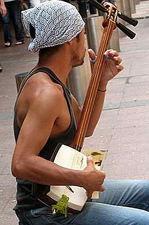 Samiseno japonų muzikos instrumentas