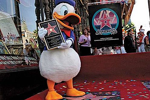 Donald Duck Zeichentrickfigur
