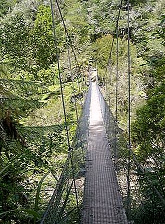 아벨 태즈 만 국립 공원 국립 공원, 뉴질랜드