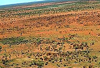 깁슨 사막 사막, 호주 서부