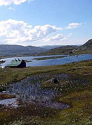 Náhorná plošina Hardanger, Nórsko