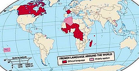 γαλλική γλώσσα