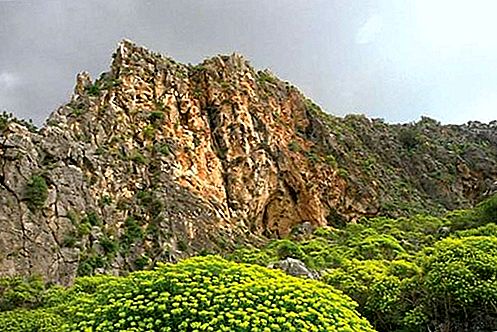 Mount Carmel dağ sırtı, İsrail