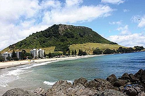 Bahía Bay of Plenty, Nueva Zelanda