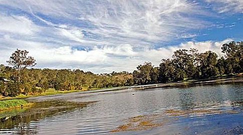 Riu del riu Brisbane, Queensland, Austràlia