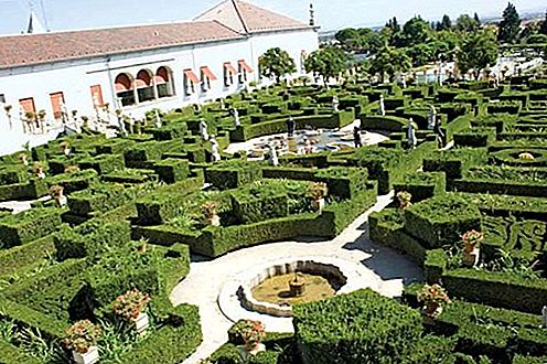 Castelo Branco Portugalska
