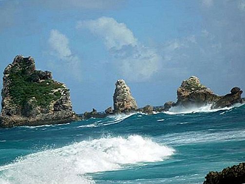 Ostrov Grande-Terre, Guadeloupe