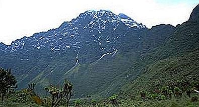 Margherita smailės kalnų viršūnė, Afrika