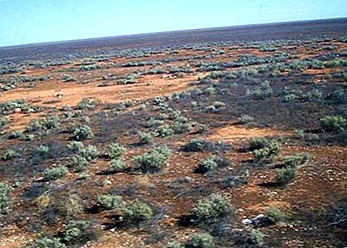 Náhorná plošina Nullarbor Plain, Austrália
