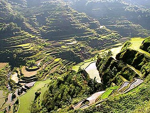 Beras Banaue bertingkat sistem teras padi bersejarah, Luzon, Filipina