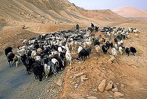 Povodie Tarimskej kotliny, Čína