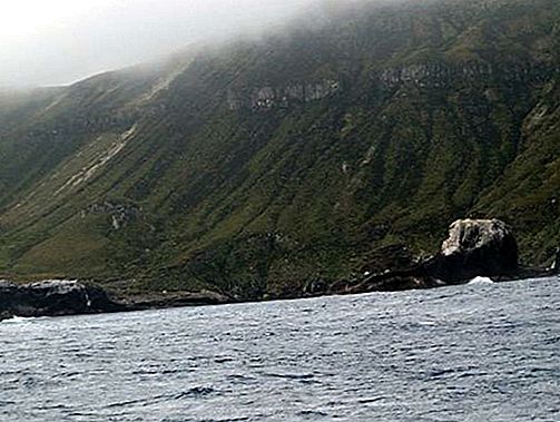 جزر جزر Antipodes ، نيوزيلندا