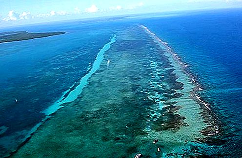 Barrera de arrecife de arrecife de Belice, Belice