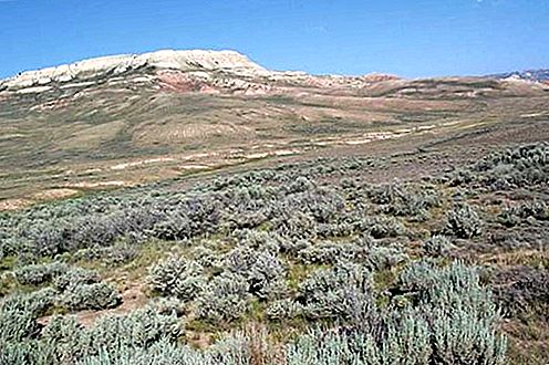 Fossil Butte National Monument National Monument, Wyoming, Съединени щати