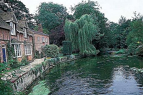 River Avon Nehri, Güney İngiltere, Birleşik Krallık