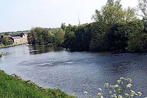 Rio Barrow River, Irlanda