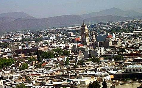 Saltillo Mèxic