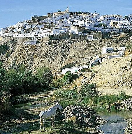 Andalúzia régió, Spanyolország