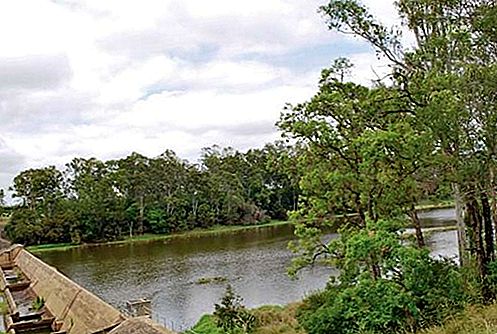 نهر نهر بورنيت، أستراليا