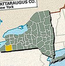Cattaraugus county, New York, Amerika Serikat
