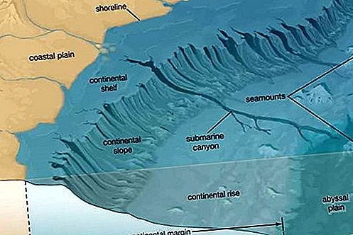 Geologia de la plataforma continental