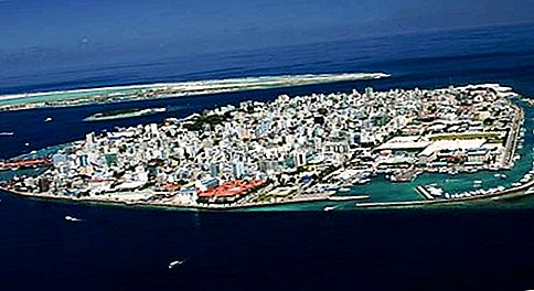 Meeste saar, Maldiivid
