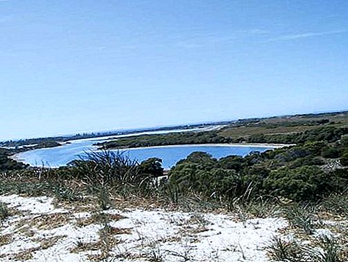 L'île de Rottnest Island, Australie occidentale, Australie