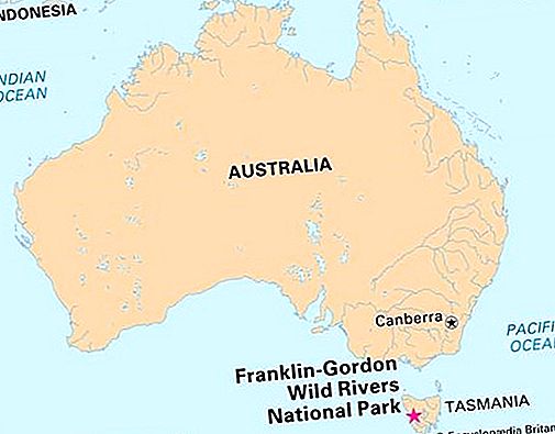 Parcul național al parcului național Franklin-Gordon Wild Rivers, Tasmania, Australia