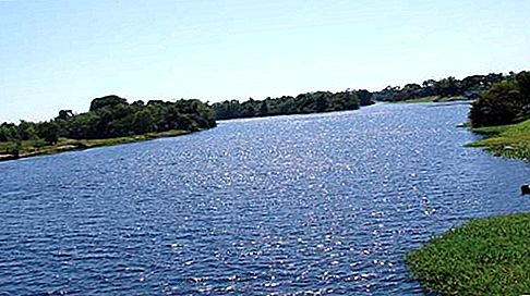 Rivière Guaporé River, Amérique du Sud