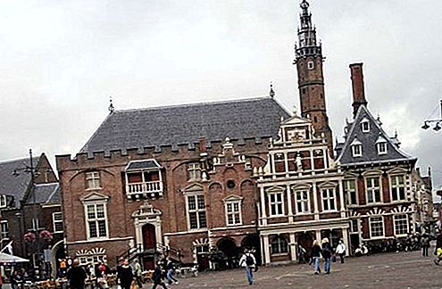 Haarlem Belanda