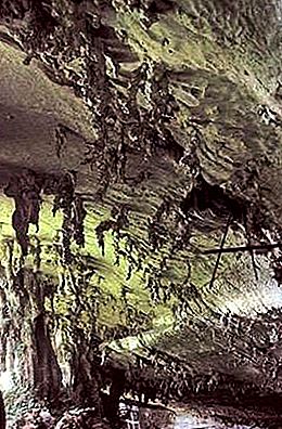 Archeologické nálezisko jaskyne Niah Cave, Malajzia