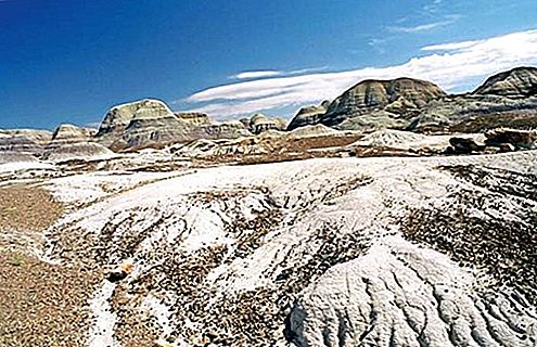 化石の森国立公園国立公園、アリゾナ州、アメリカ合衆国
