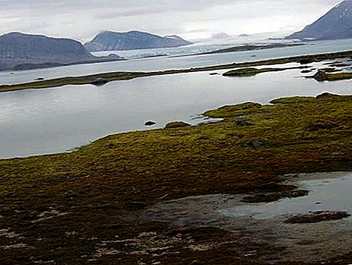 Pulau Spitsbergen, Norwegia