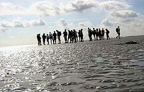 Wadden Sea inlet, Netherlands