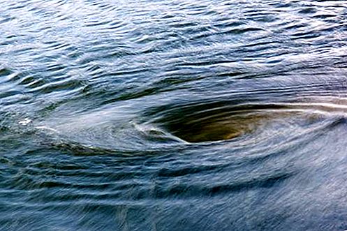 Whirlpool oceánografie