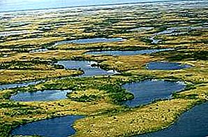 Yamal Yarımadası yarımadası, Rusya