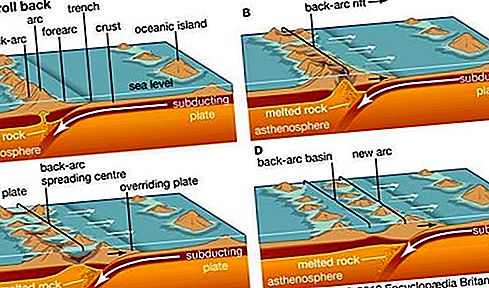 Back-arc bekken geologie