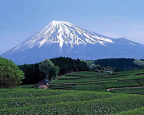 Fuji Japonsko